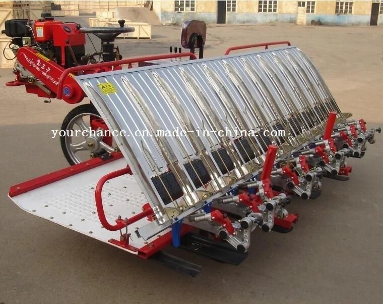 High Efficiency 2z-10238 10 Rows 238mm Rows Width Riding Type Rice Transpanter for Sale