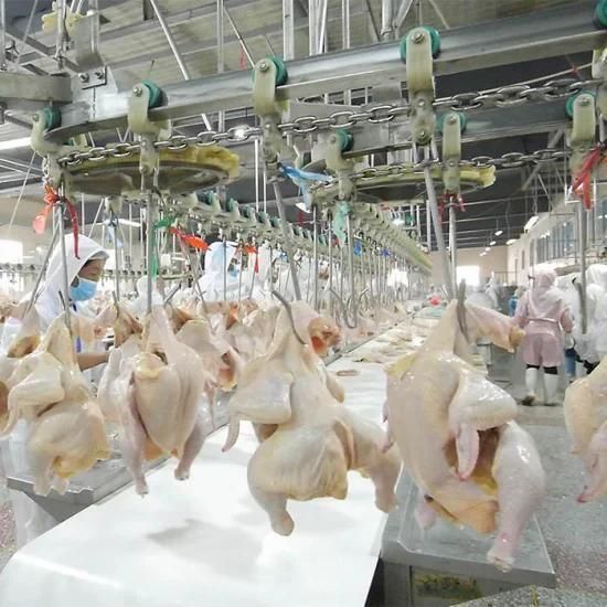 Halal Poultry Processing Line / Chicken Processing Slaughter Equipment / Chicken ...