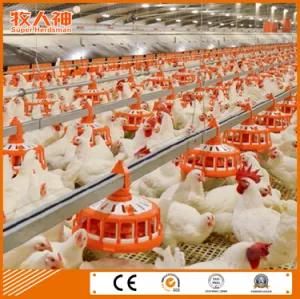 Customized Poultry Farm Equipment in Chicken House with Good Quality
