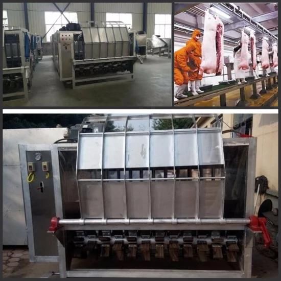 Professional Manufacture Poultry Pig Equipment with Ce