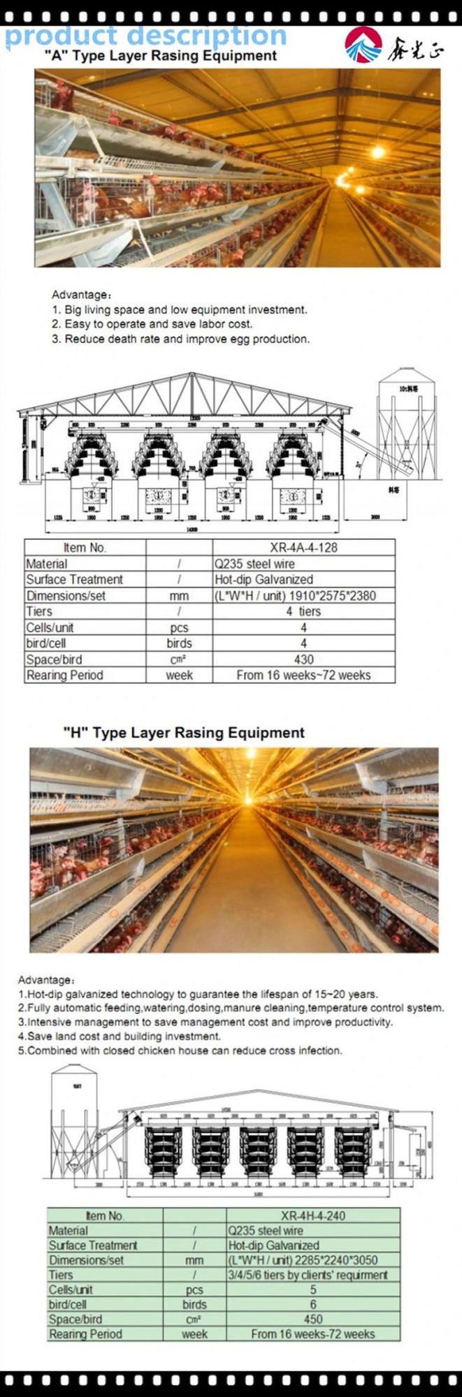 Factory High Quality Design Layer Chicken Farming Battery Equipment