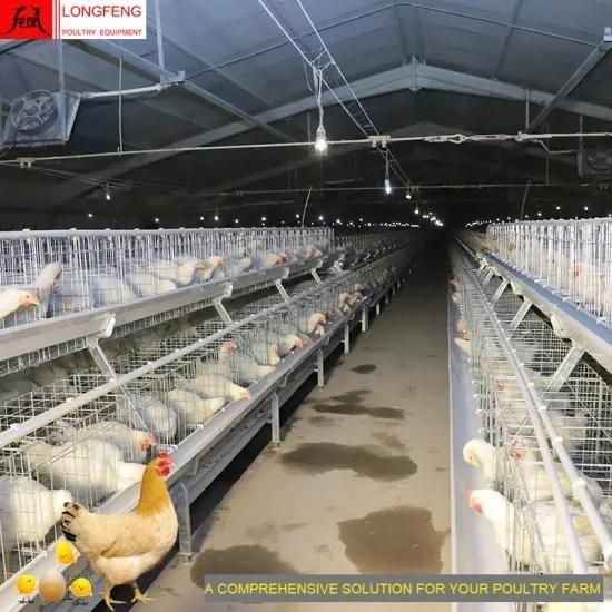 Longfeng Chicken Farm Equipment with High Quality