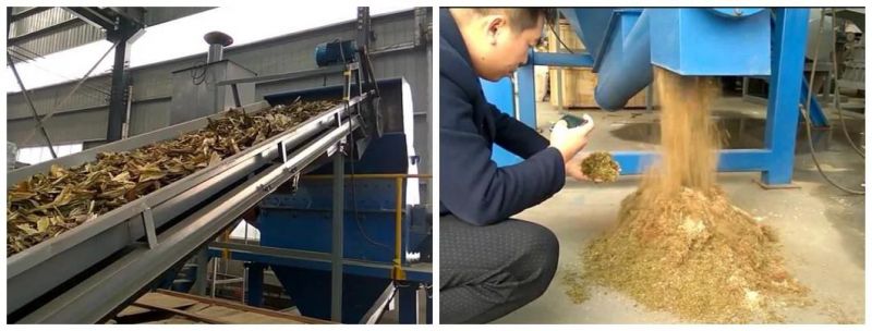 Processing Bulk Straw Into Sawdust 8mm Bulk Straw Crusher