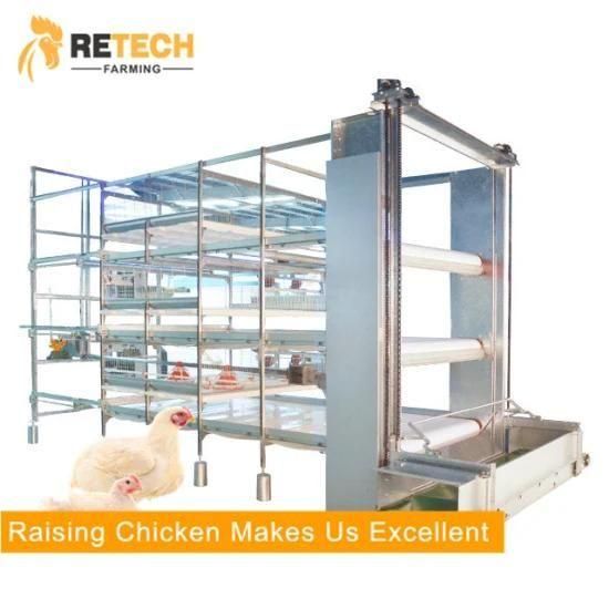 Automatic Poultry Farm Broiler Feeding System Broiler Chicken Raising Equipment