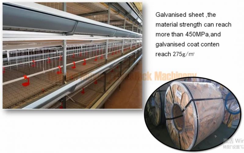 Chicken Bird Broiler Cage Livestock Machinery for Poultry Farm House