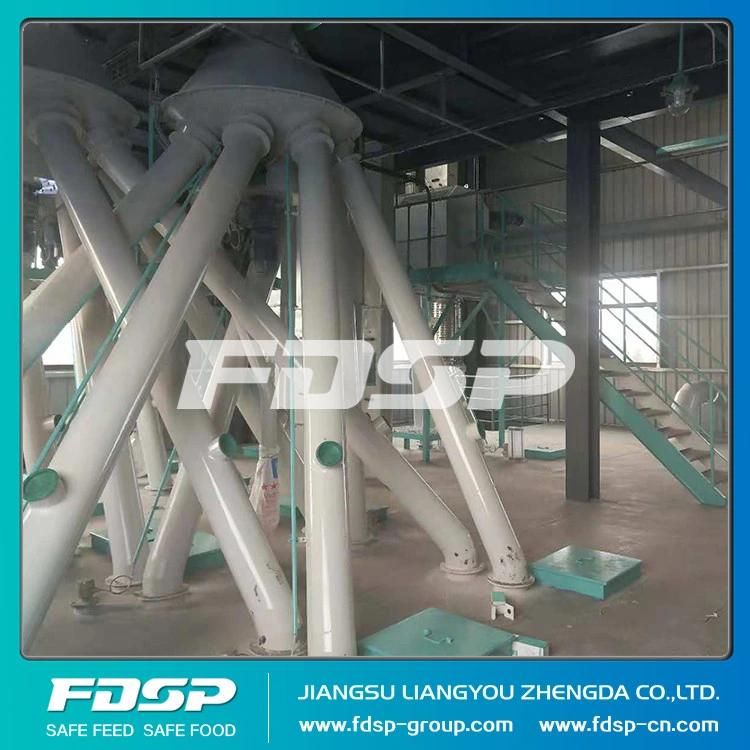 China High Reputation Manufacturer Concentrate Feed Set