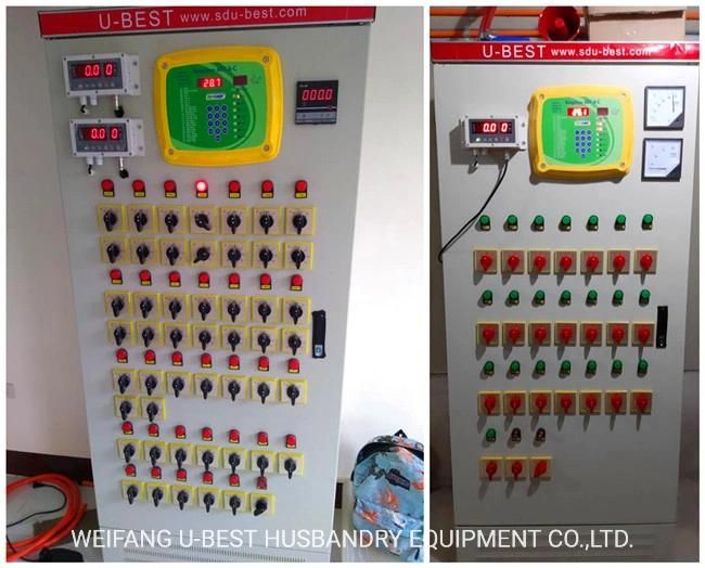 Cost-Effictive Chicken Breeding System Automatic Poultry Farm Equipment