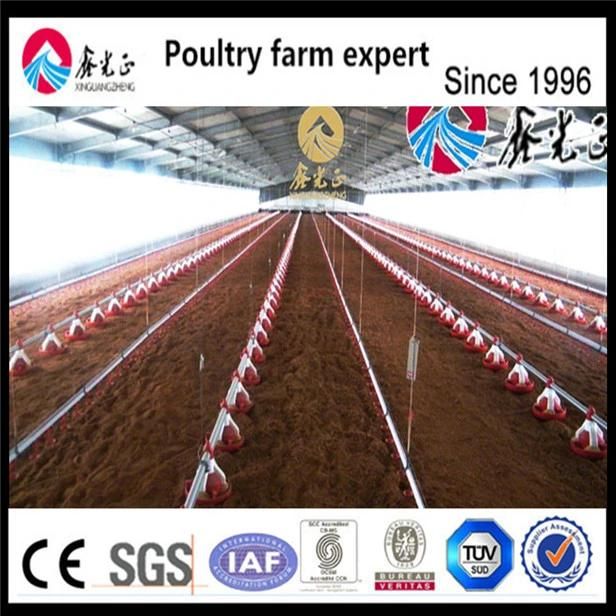 Poultry Farm Ground Raising Chicken Broiler Equipments