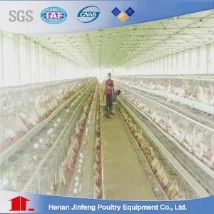 Poultry Equipment Automatic Bird Chicken Cage for Chicken House Henhouse
