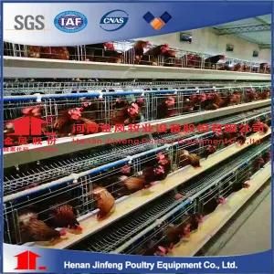 Pullet Chicken Cage with Automatic Raising Equipment