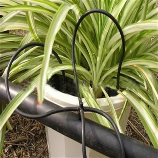 Effective Drip Irrigation System for Greenhouse