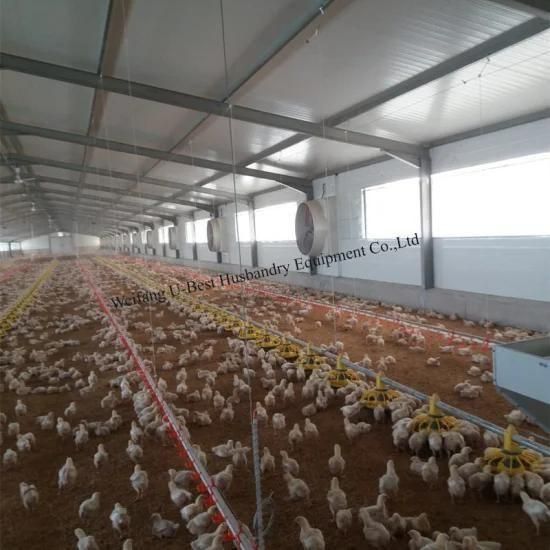 Poultry Farm Equipment for Prefabricated Broiler Buildings in Philippines
