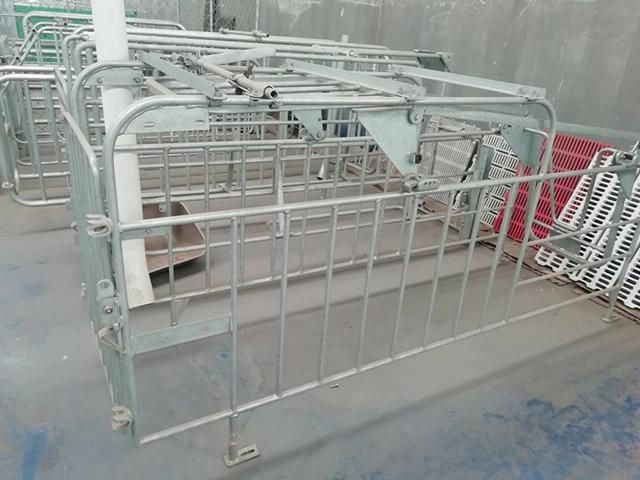 High Quality Gestation Pig Crates Used Steel Pig Pen for Pig Farming