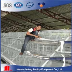 Automatic Galvanized Battery Chicken Cage Poultry Farm Machinery