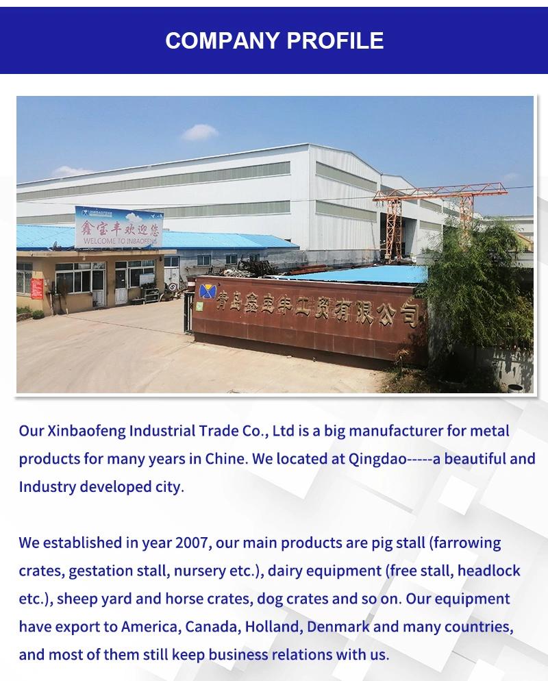 High-Quality Farrowing Box Farrowing Pen for Sows Sold Directly by Chinese Manufacturers