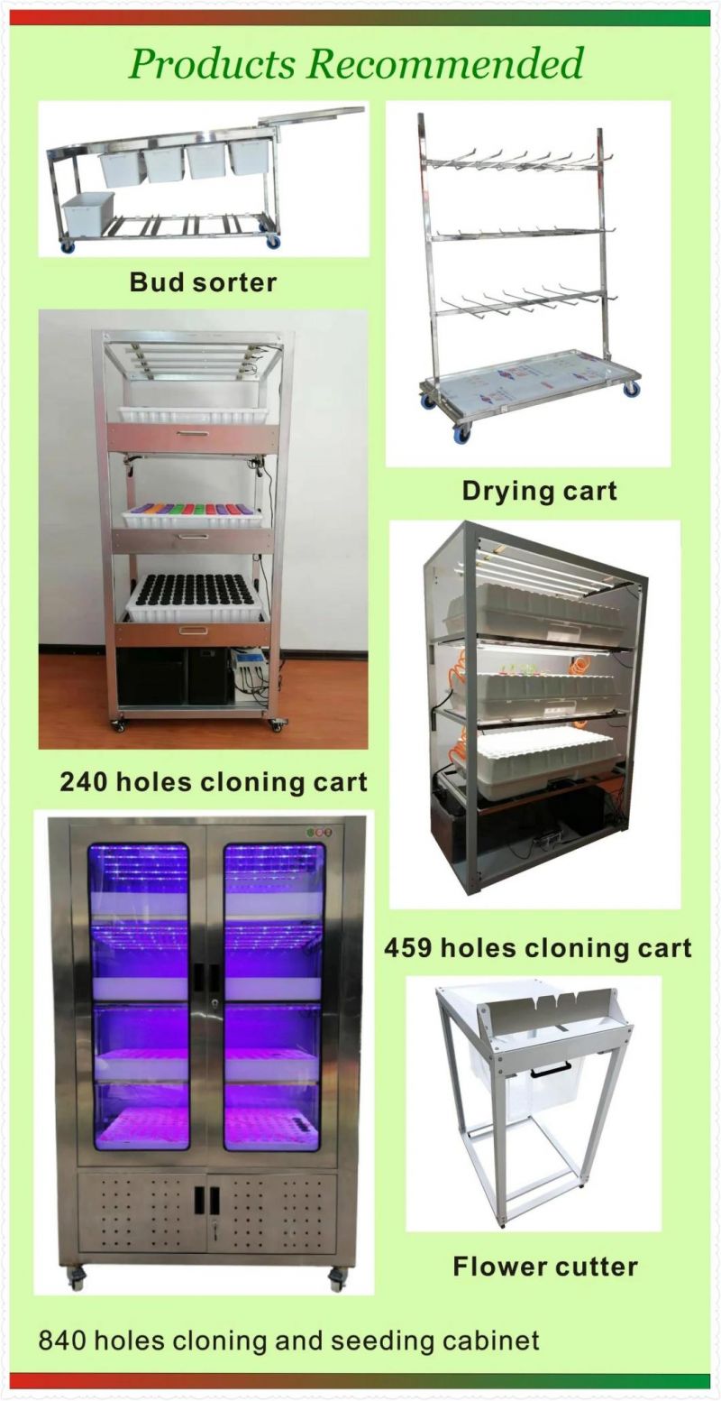 Tent 153 Holes Cutting Cloning System with Automatic Spray Cultivation Solution System