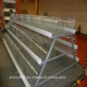 Poultry Feed Manufacturers H Type Layer Chicken Cage Farm Equipment for Chicken House