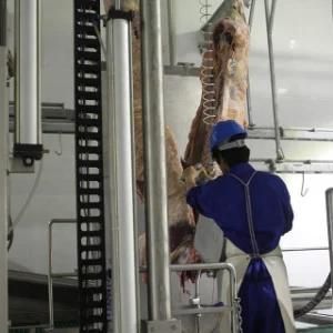 Cattle Cow Beef Pig Sheep Goat Processing Halal Muslim Slaughtering Line for Equipment ...