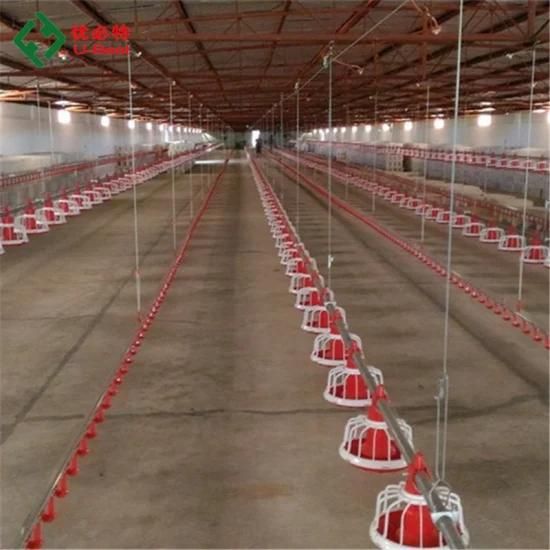 Hot Sale Feeders for Chicken House