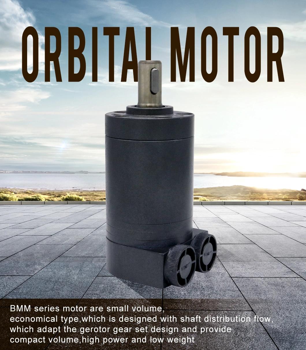 Bmm20 Omm20 Bmm/Omm 20cc 1000rpm 1000 Rpm Mini Hidrolik 12 Volt Hydraulic Pump Orbital Motor Oil Pump