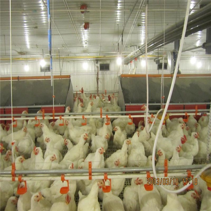 Poultry Farm Nipple Water Feed Chicken Drinker System