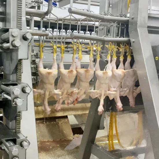 Halal Slaughter Chicken Poultry Slaughterhouse Equipment Machine 500-12000 Bph Abattoir ...