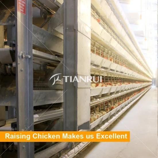 High Quality Automatic Broiler Chicken Battery Cage