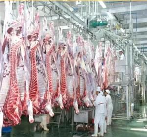 Cattle Slaughter House Equipment Automatic Carcass Processing Convey Systems of Abattoir ...