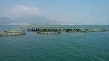 Tilapia Aquaculture Deep Sea Anti-Wave Farming Net Fish Cage