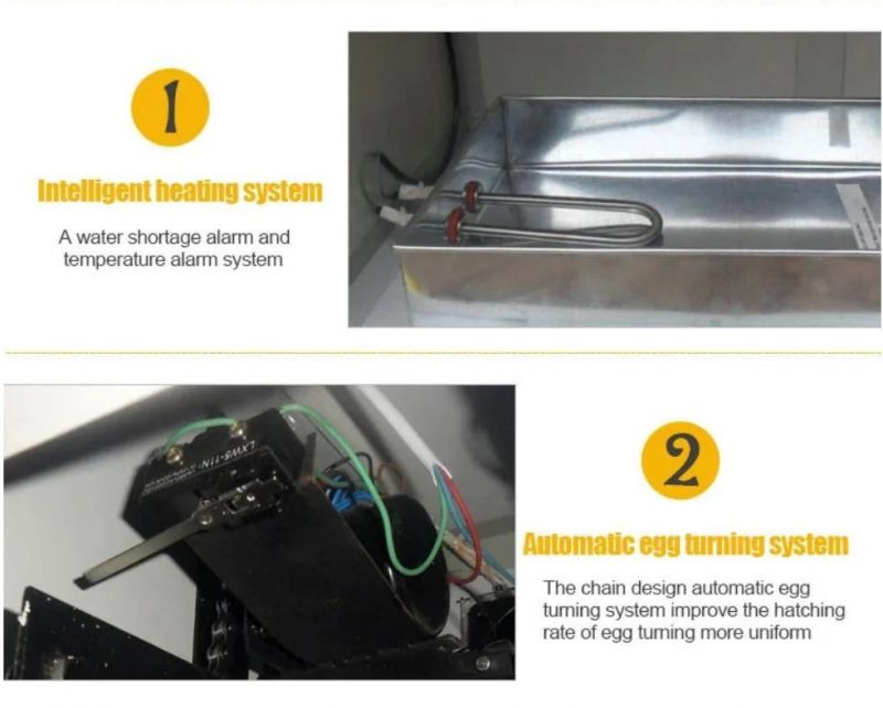 Digital Automatic Chicken Eggs Incubator