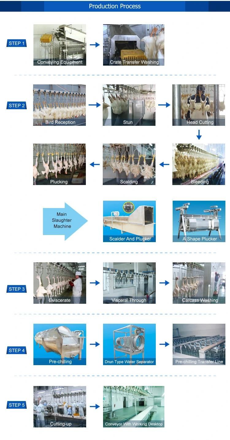 Used to 100/200/300/500/700/1000bph Small Scale Chicken Slaughtering Equipment /Chicken Processing Equipment