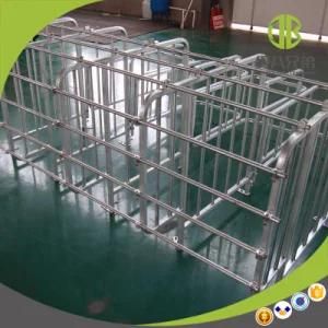 Gestation Crate Gestation Stall Pregnancy Stall with Good Price