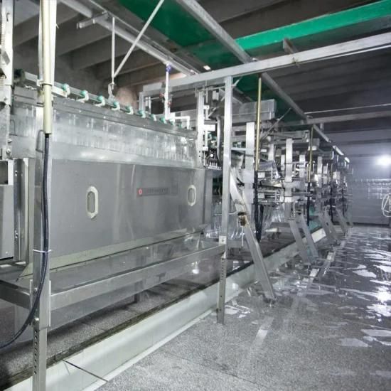 Chickens Slaughter Processing Line Poultry Slaughterhouse Equipment