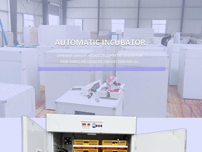 Multi-Stage Automatic Poultry Chicken Quail 12000 Egg Incubator Hatcher