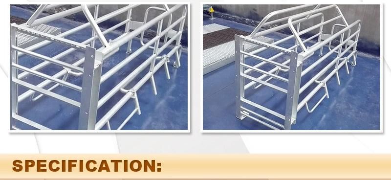 Pig Farming Equipment Sow Birthing Pen Sow Farrowing Crate Stalls