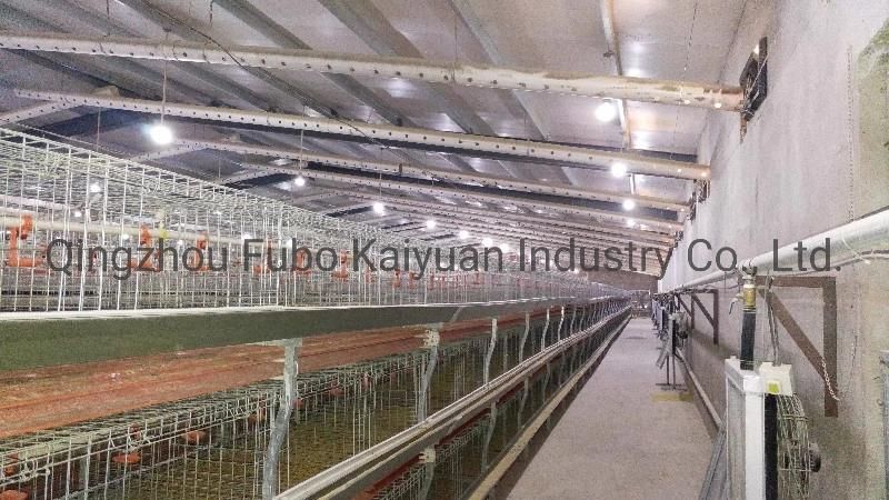 Battery Cage System in Poultry for Broiler/Chicken Layer/Egg Chicken