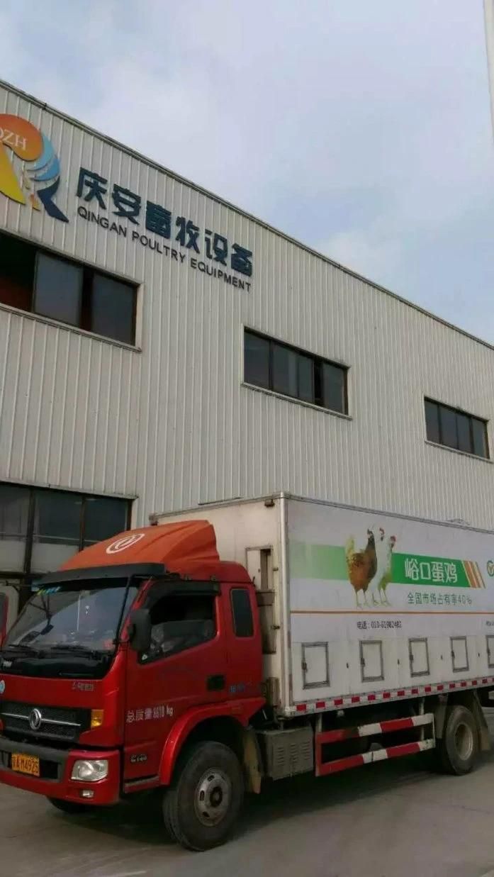 Qzh Brand Factory Producing Chicken Drinker for Poultry Farm