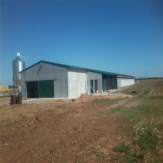 Galvanized Stainless Steel Structural Technical Quickly Built Poultry Farm