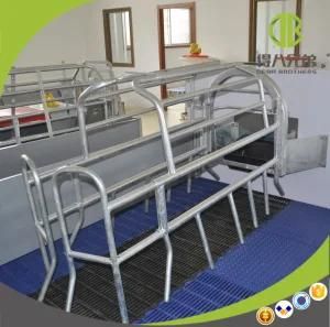 Modern Style Hot DIP Galvanized Farrowing Cate Farrowing Bed