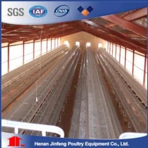 a Type 4 Tiers Small Chicks Brooder Cage for Growing Egg Chicken