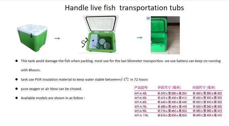 Transport Fish Handling Cold Storage Project Live Fish Storage Container