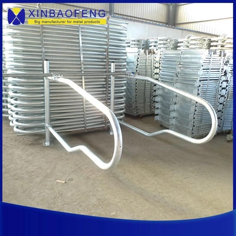 Galvanized Cattle Cow Free Stall