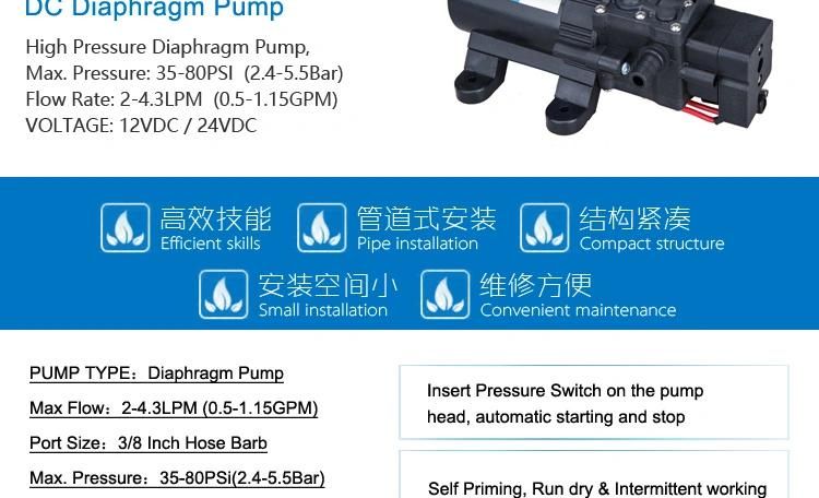 Standard Demand Pump 12V 40psi 1.2pgm Farm Pump