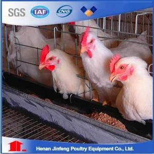 a Type Broiler Cage for Poultry Farms