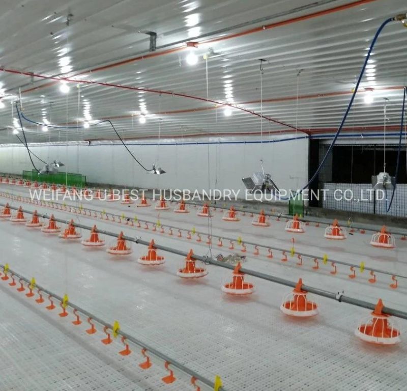 Poultry House Slatted Flooring System with Automatic Feeding and Drinking for Breeders
