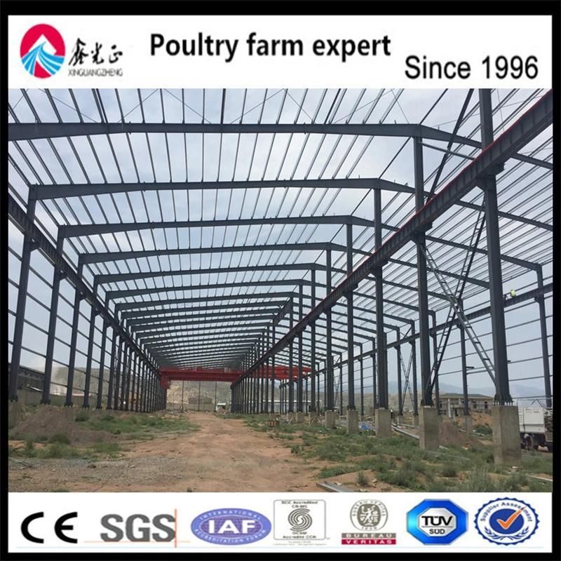 Design Manufacture Workshop Warehouse Steel Structure Building with Ce Certification