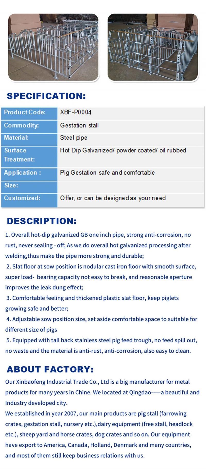 Pig Farm Gestation Crate Gestation Stalls