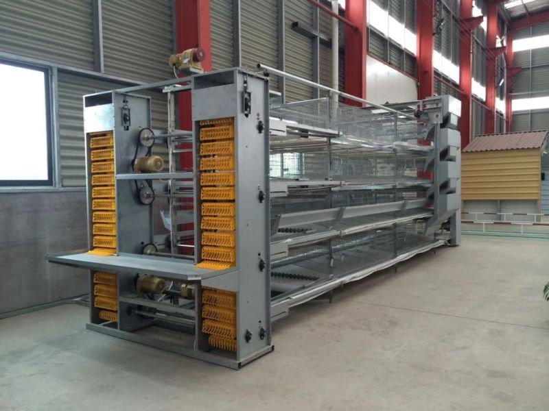 Automatic 4tiers H Type Poultry Battery Cages for Layers