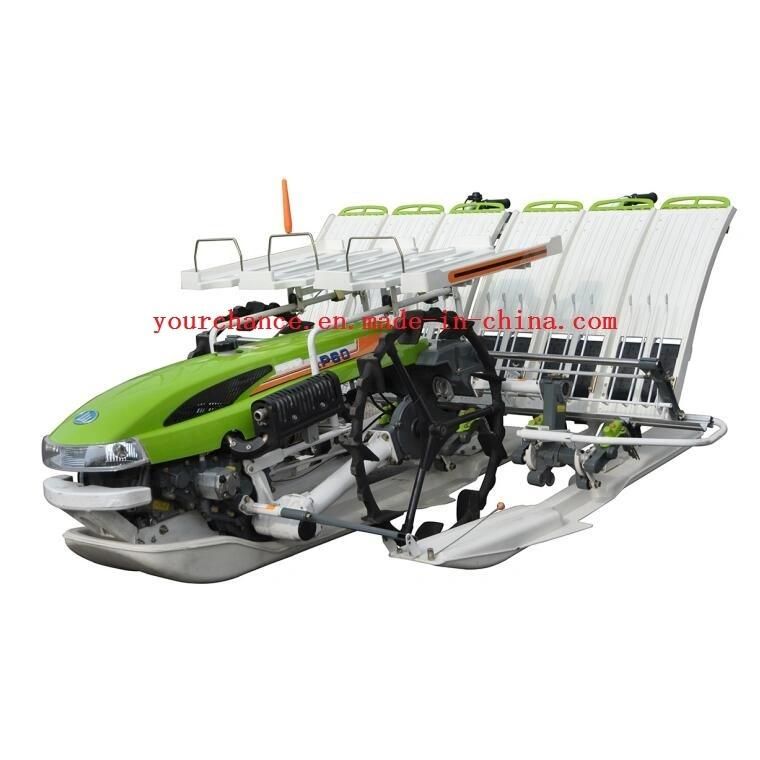Thailand Hot Sale 2zx-625 6 Rows 250mm Rows Width Walking Type Rice Transplanter Made in China