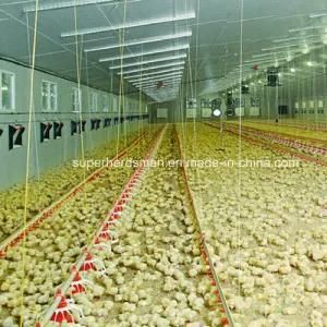 Poultry Farm Equipment for Poultry House